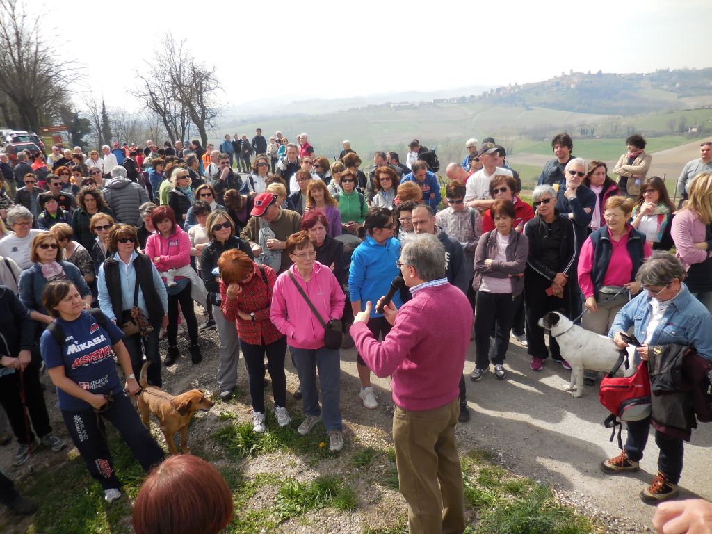Le dolci colline rosignanesi. 
