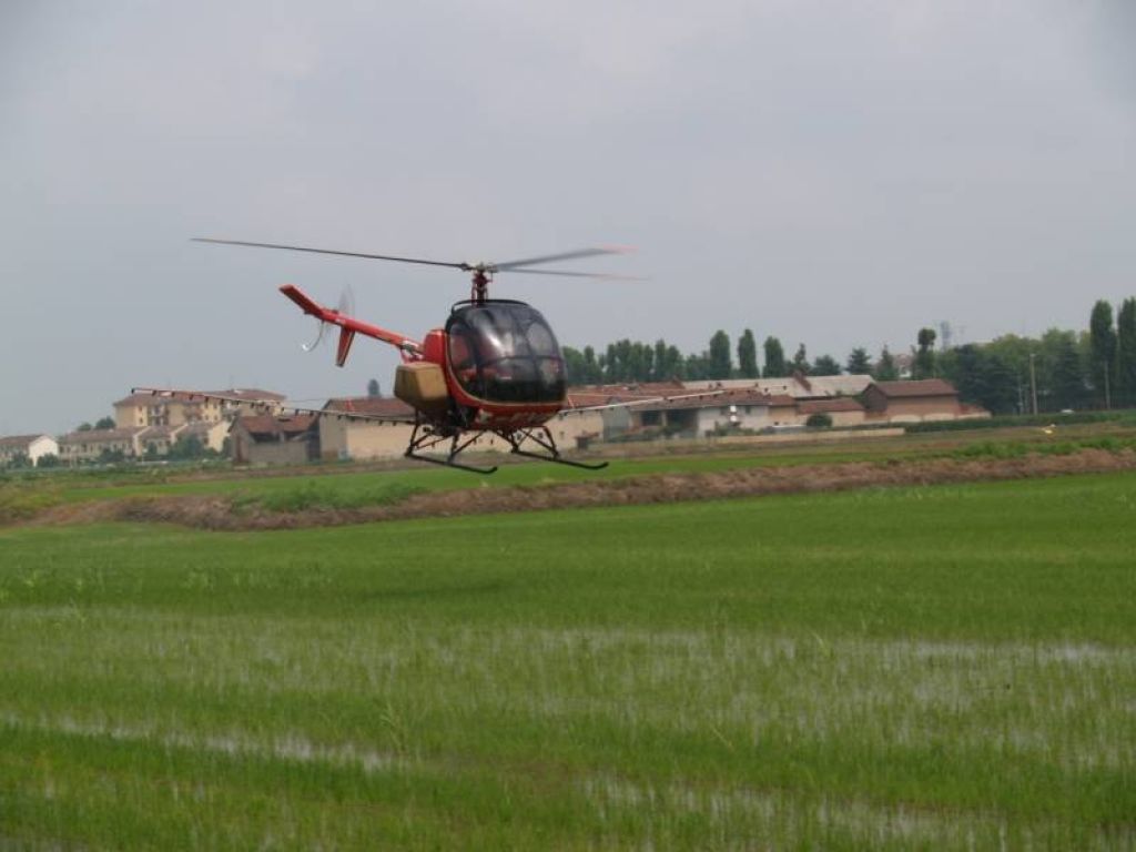 Zanzare, cominciati i trattamenti nelle risaie: coinvolti 39 Comuni monferrini