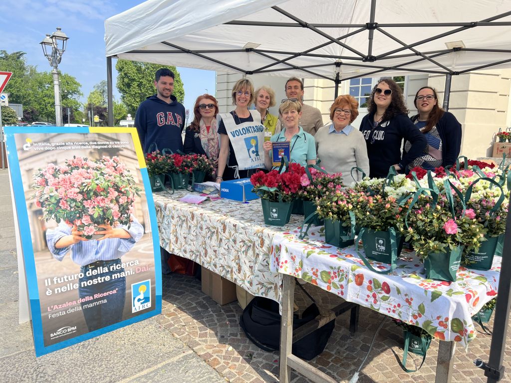 Azaleee della ricerca