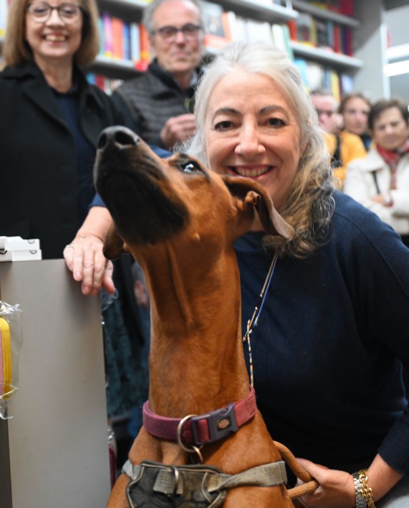 Monica Pais ha presentato 