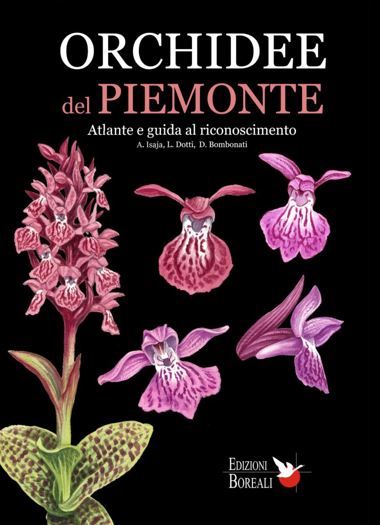 Orchidee del Piemonte. Atlante e guida al riconoscimento