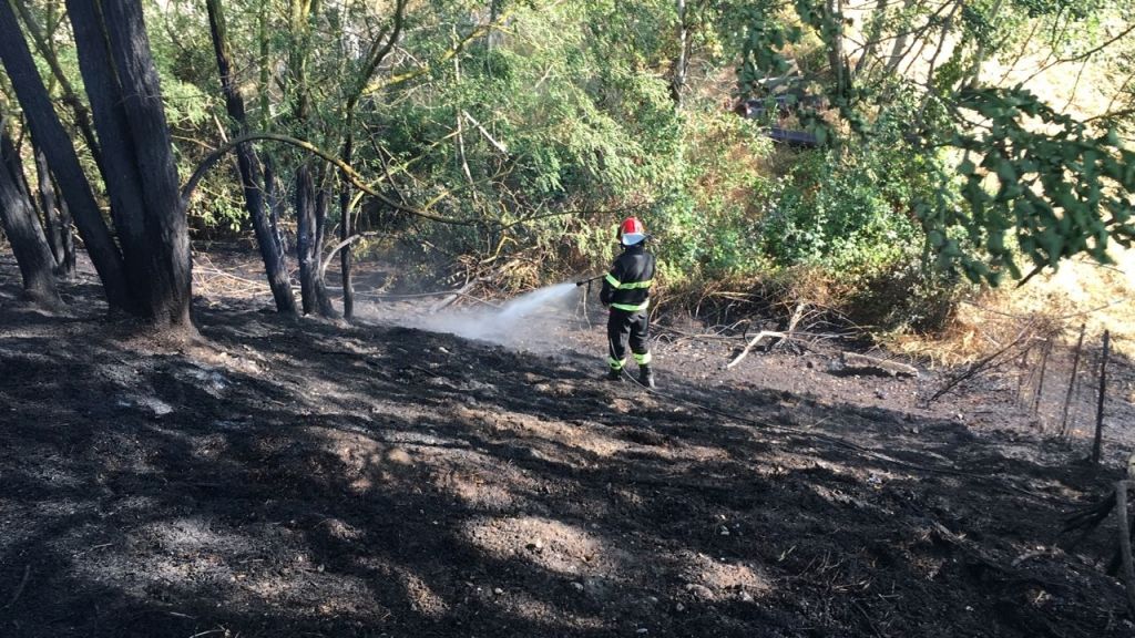 Vasto incendio a Franchini d'Altavilla