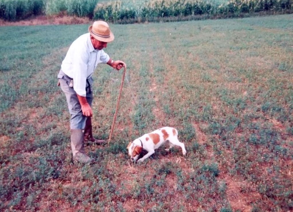 Domenica Museo diffuso per gli Infernot nella Core Zone Unesco