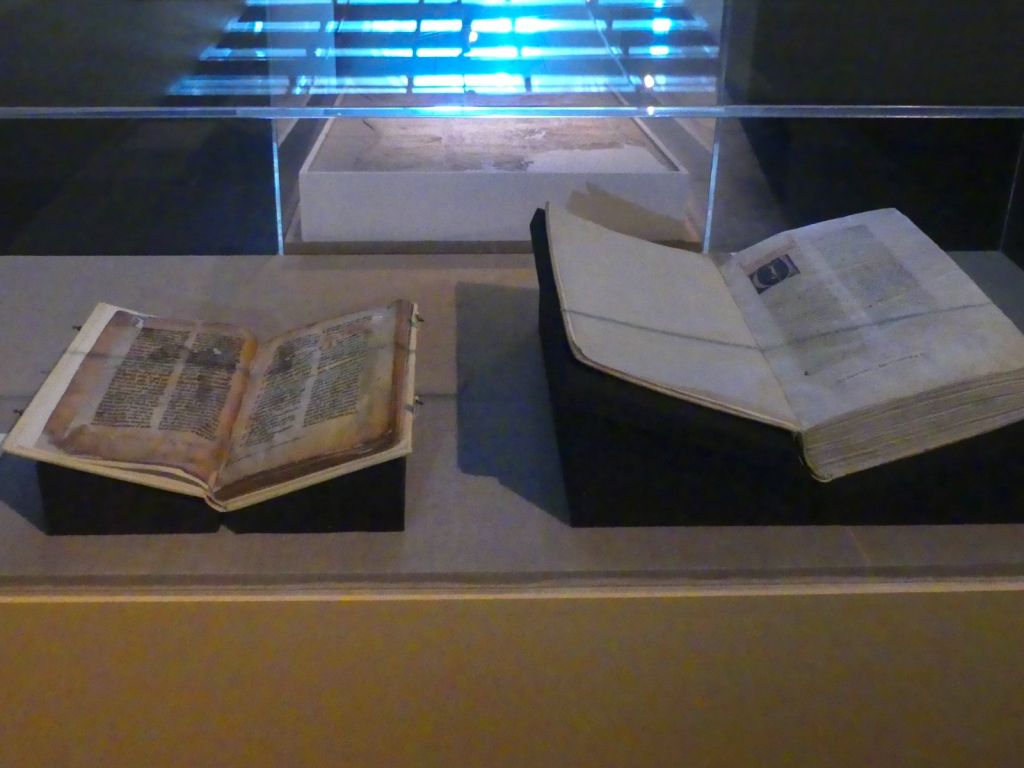 Vercellae Hospitales