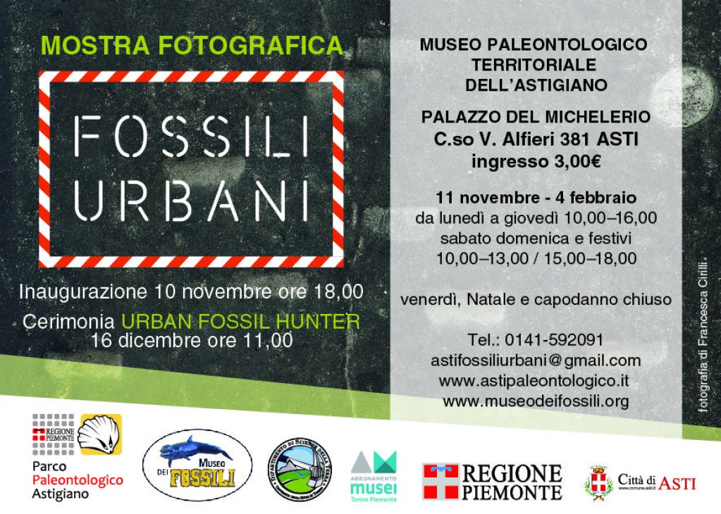 Fossili Urbani ad Asti