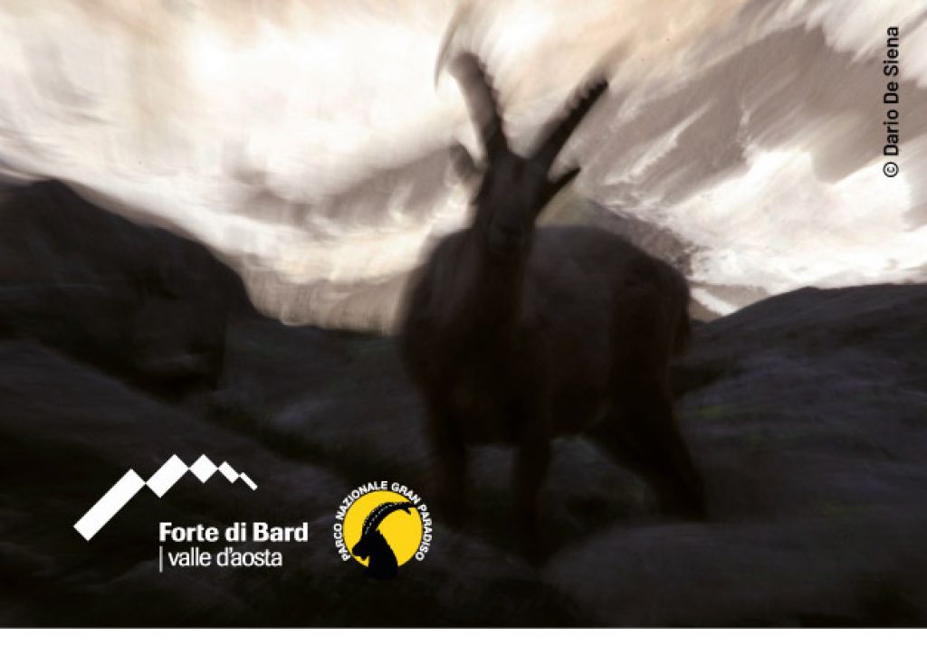 Oltre lo scatto a Bard