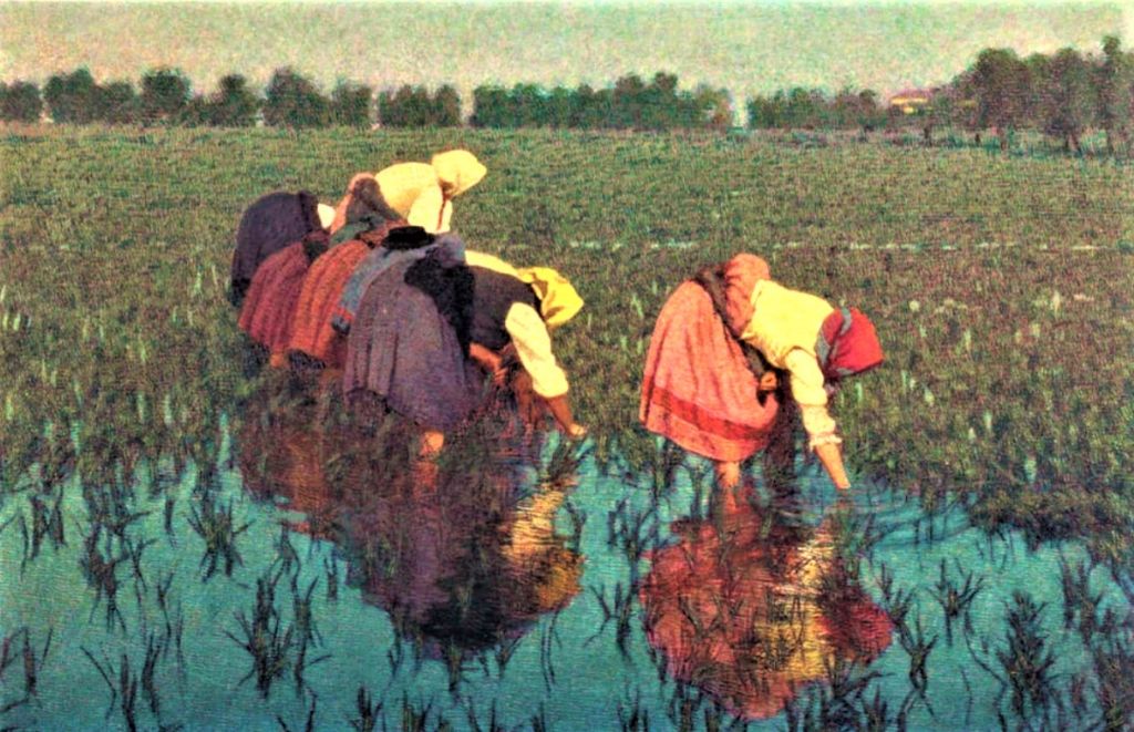 Il Buzzi alla mostra di Novara