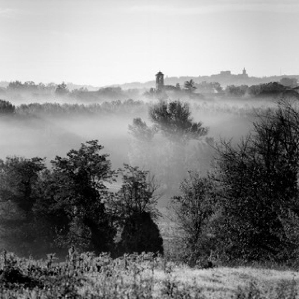 Primo premio alla foto di Menino a Los Angeles (California)