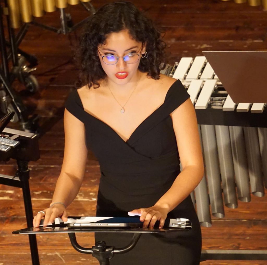 Suonare, CApire la Musica d'Oggi