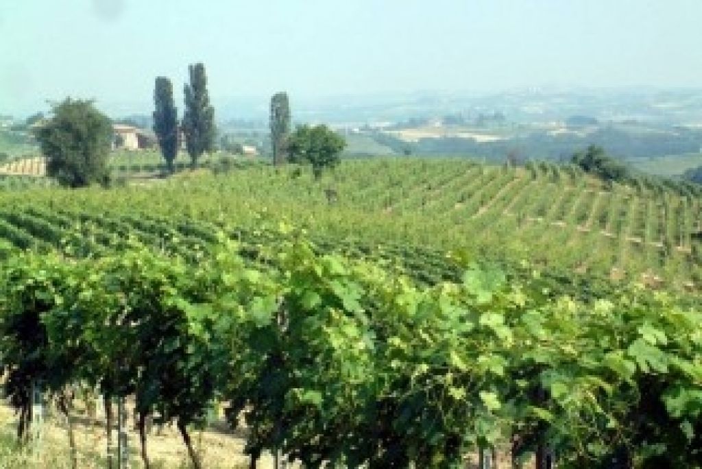 Coldiretti lancia l'app “Farmersforyou” per le vacanze in campagna