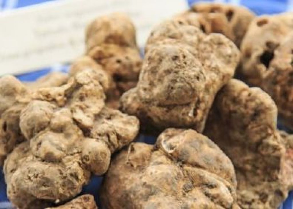 Il Capitolo dedicato al tartufo