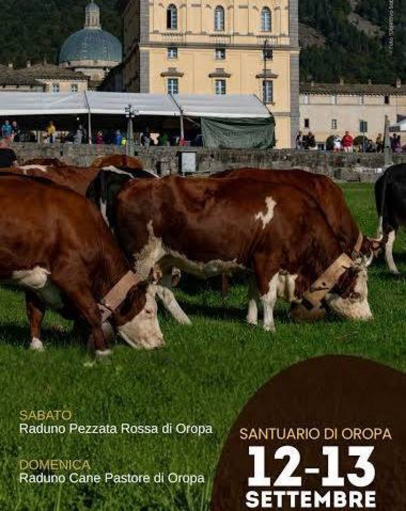 Oropa: Fiera di San Bartolomeo