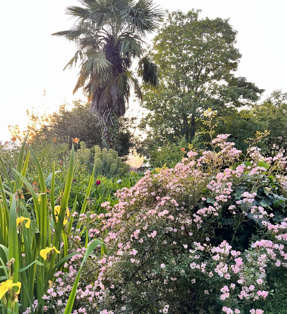 “Vite in giardino” al Castello di Morsasco