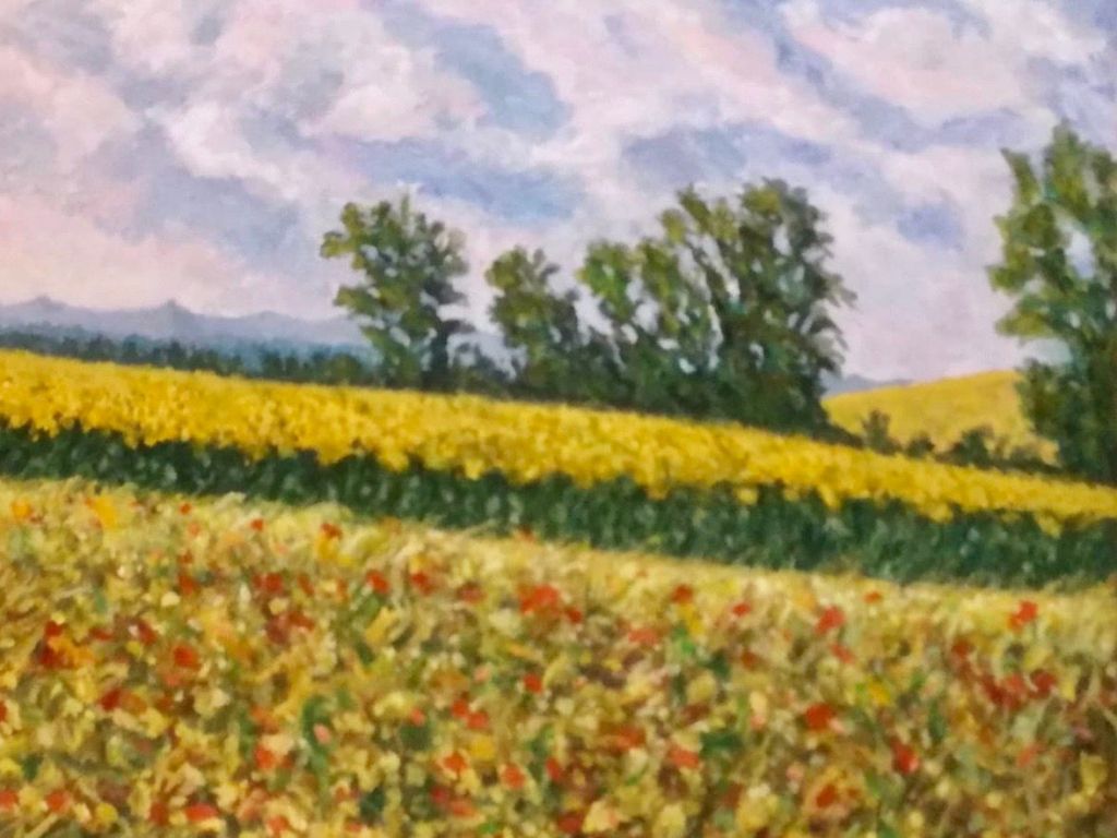 Figure che scompaiono