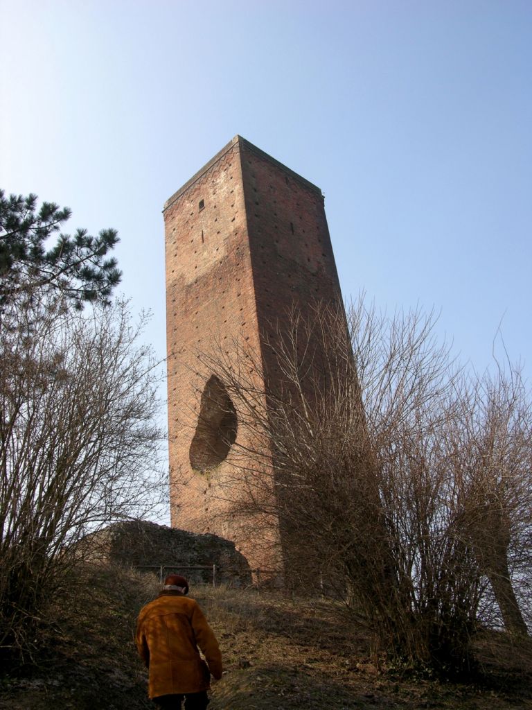 Borsa di studio “Città di San Salvatore Monferrato”