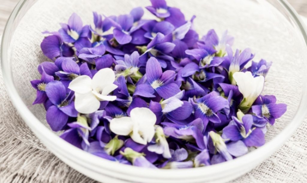 “Fiori… da mangiare”